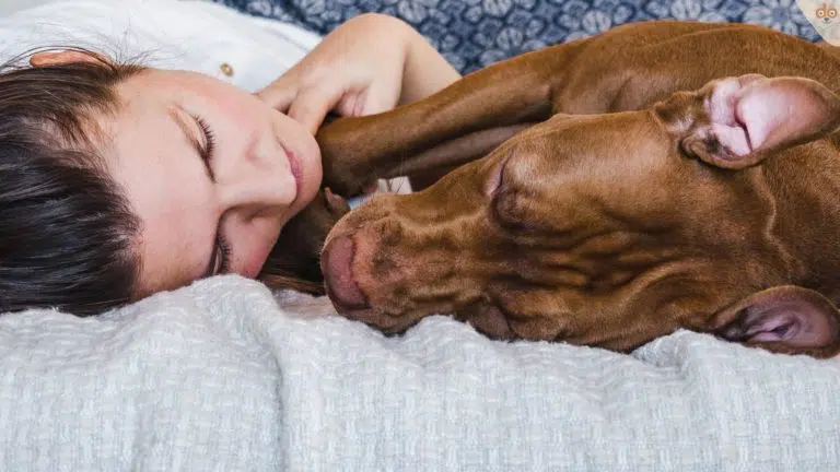 Frau und Hund schlafen zusammen im Bett