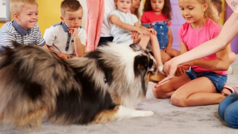 Kinder lernen in der Schule mit Hund umgehen