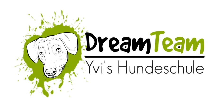 dreamteam-logo