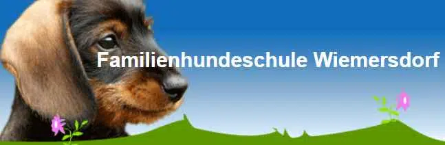 familienhundeschule-wiemersdorf-logo
