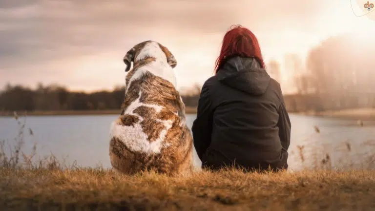 Hund und Mensch sitzen zusammen am See. beide etwas dick