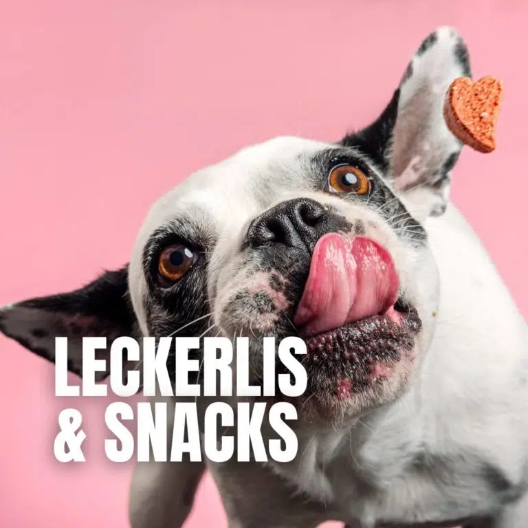 Leckerlis & Snacks : 